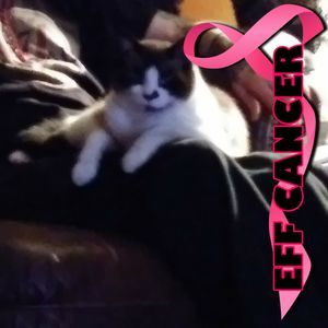 Meet your Posher, Tara